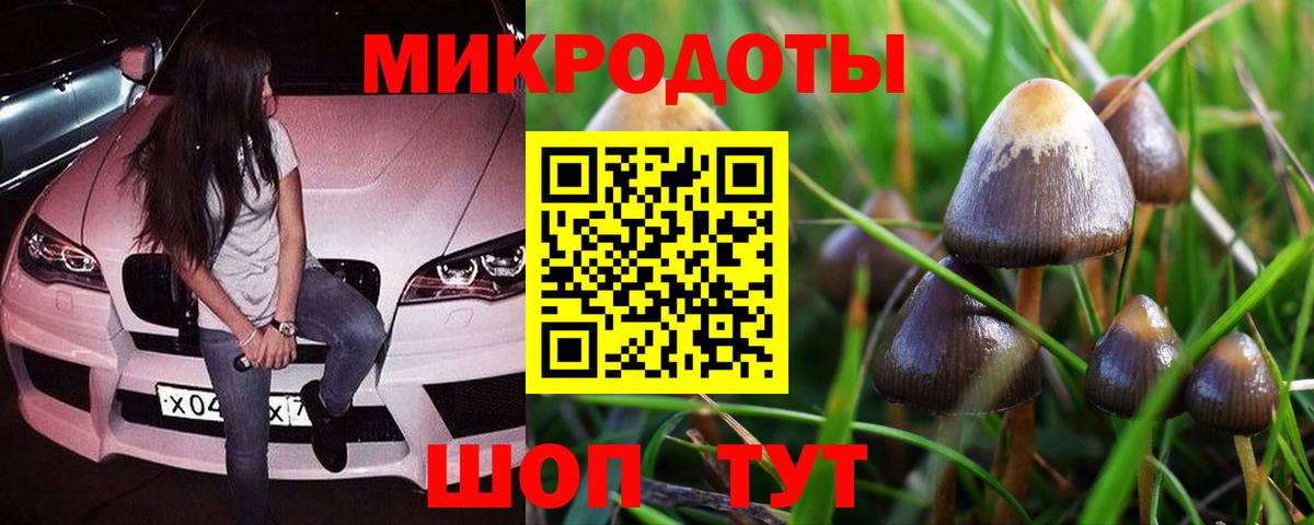 Галлюциногенные грибы прущие грибы Усинск
